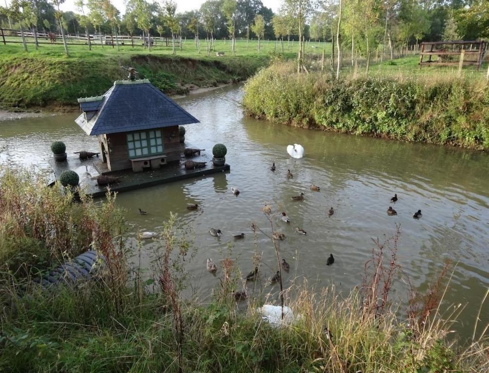 مبيت وإفطار Mandeville-en-Bessin Ferme De Dauval المظهر الخارجي الصورة